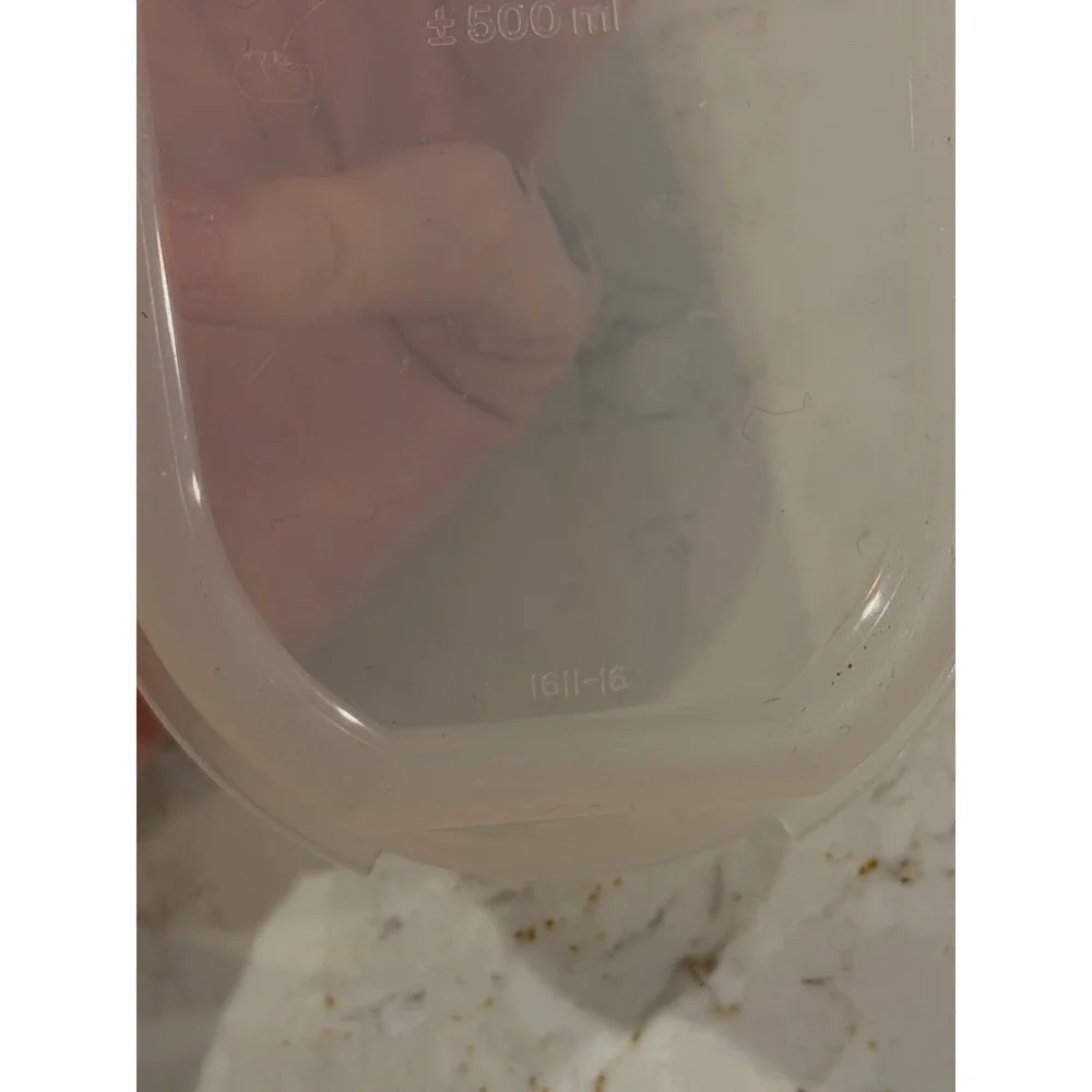 Tupperware‎ Modular Mates Oval 1 White Seal 2 Cup 500ml Container 1611-16 USA
